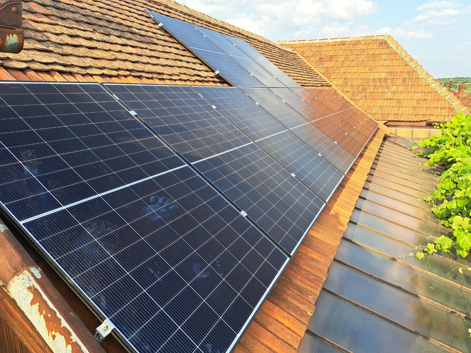 WhatsApp Image 2025 06 13 at 10.00.02